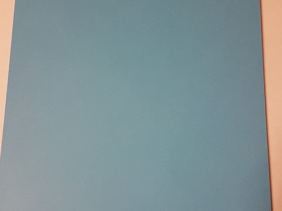 Chemise institutionnelle LE CHENE à rabats logo Ifri