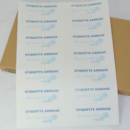 Produit Planche A4 par 10 étiquettes ( Paquet de 100 ) Image